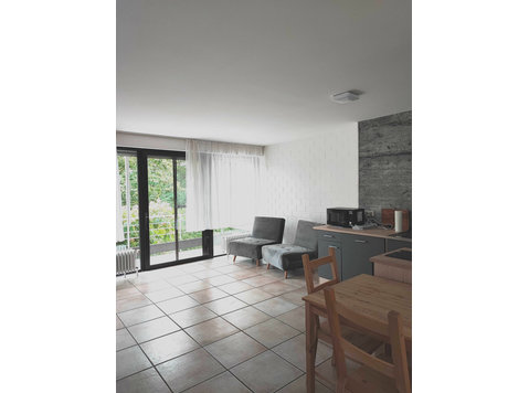 Nice apartment OK-12-1 in Mainz near University - For Rent