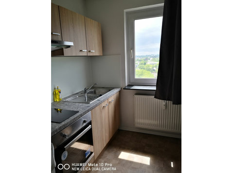 Nice & spacious loft located in Mainz - For Rent