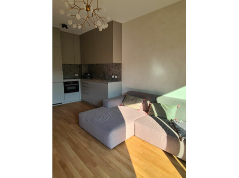 Perfect & charming suite in Mainz - Til leje