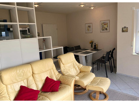 High-standard apartment near vineyards - For Rent