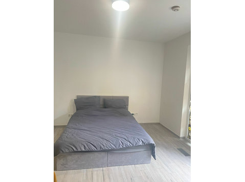 Perfect & fashionable studio apartment in Trier - For Rent