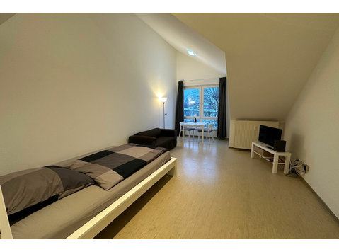 Nice 1,5 Room Flat in Magdeburg close to river Elbe - השכרה