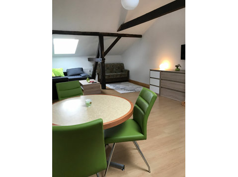 Amazing, charming studio in Halle (Saale) - For Rent