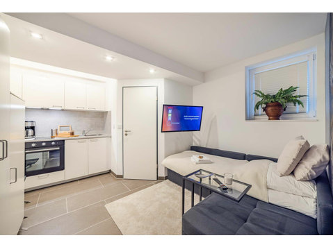Comfortable Premium Apartment with a Luxurious Bathroom and… - For Rent