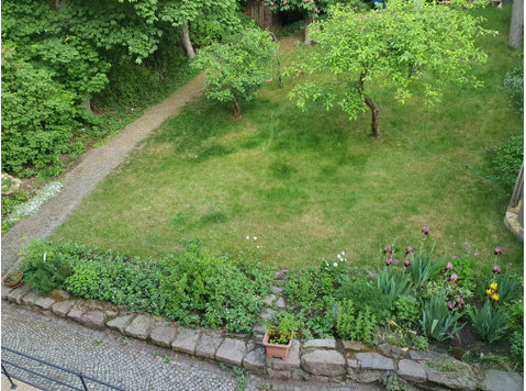 Spacious, nice flat in Halle (Saale) - For Rent