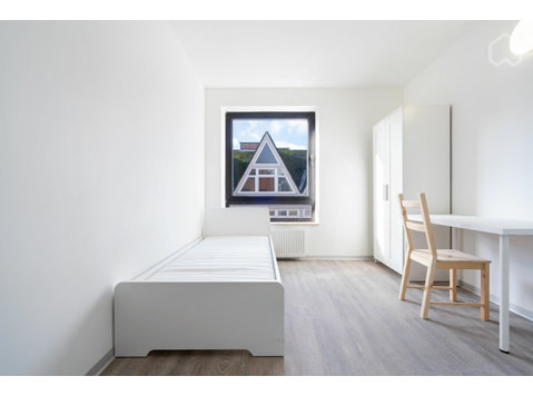 Gemütliches und helles Studenten-Apartment in Kiel - Zu Vermieten