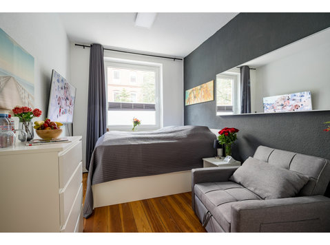 Refurbished 1 room apartment in Kiel city - For Rent