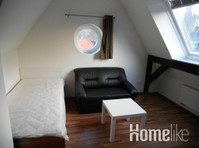 beautiful one-room apartment in a representative city villa - Appartamenti