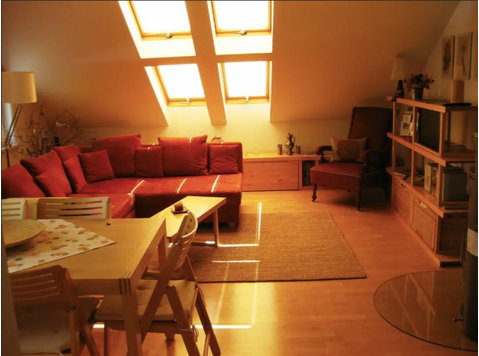Beautiful 2-room apartment with chimney - Izīrē