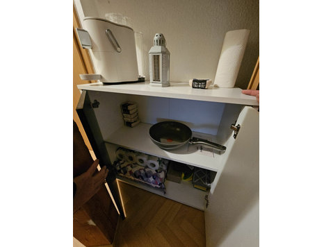 Cozy one-room apartment - Alquiler