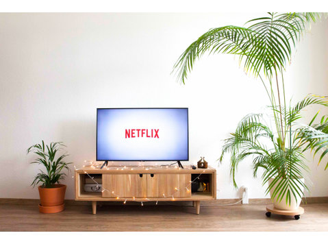 Stilvolle 2-Zimmerwohnung - mit Balkon & Netflix - Zu Vermieten