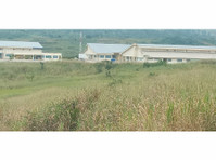 40 Acres For Sale at Medie Samsam Accra - Terrain