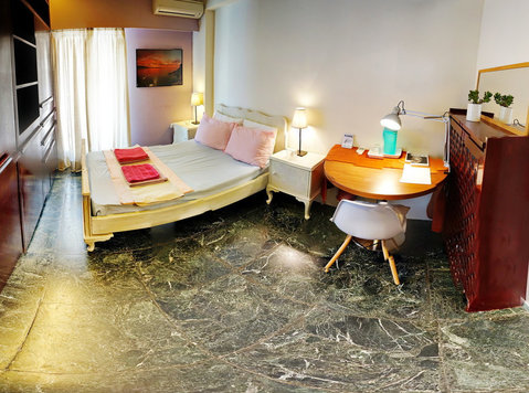 Athens Center 4th Floor Luxurious Flat Share No1 - Camere de inchiriat