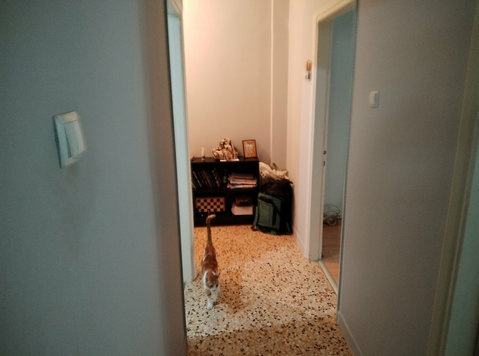 Flat in the centre of Thessaloniki - Pisos compartidos