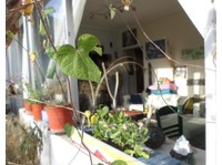 Thessaloniki sunny room in shared flat - big veranda - Общо жилище