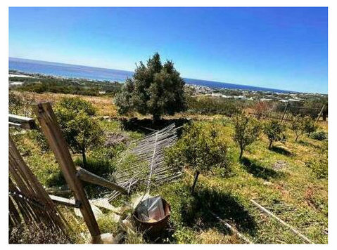 Agricultural land with fantastic sea views in Makry Gialos. - Grundstücke