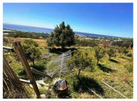 Agricultural land with fantastic sea views in Makry Gialos. - Terrenos