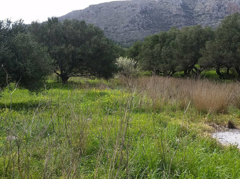 Live off grid in Crete Greece -house Land and total privacy - Σπίτια