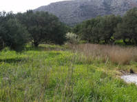 Live off grid in Crete Greece -house Land and total privacy