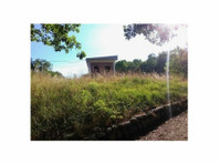 Parcel Of Land In The 4th Hill Of Pylis - Elatis, Municipali - أراضي