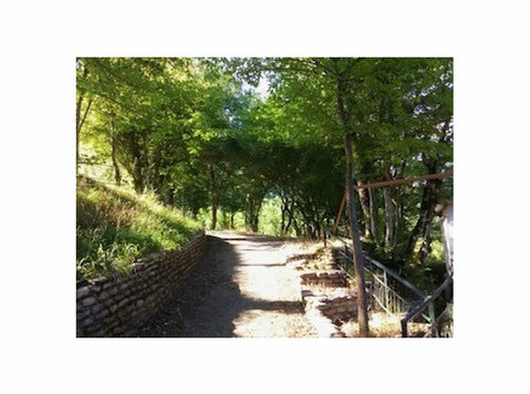 ΑΓΡΟΤΕΜΑΧΙΟ ΣΤΟ 4ο ΧΙΛ ΠΥΛΗΣ - ΕΛΑΤΗΣ, ΔΗΜΟΣ ΠΥΛΗΣ (5) - Οικόπεδα