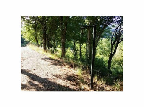 ΑΓΡΟΤΕΜΑΧΙΟ ΣΤΟ 4ο ΧΙΛ ΠΥΛΗΣ - ΕΛΑΤΗΣ, ΔΗΜΟΣ ΠΥΛΗΣ (7) - Οικόπεδα