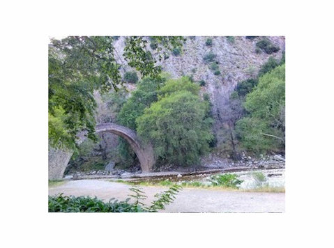 ΑΓΡΟΤΕΜΑΧΙΟ ΣΤΟ 4ο ΧΙΛ ΠΥΛΗΣ - ΕΛΑΤΗΣ, ΔΗΜΟΣ ΠΥΛΗΣ (8) - Οικόπεδα