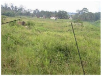 Rare to find similar 0.86 acre home site - Tanah