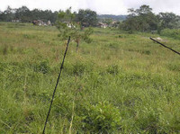 Rare to find similar 0.86 acre home site - Tanah