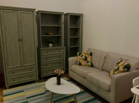 Stylish, Renovated, and Fully Furnished Flat for Rent - Leiligheter