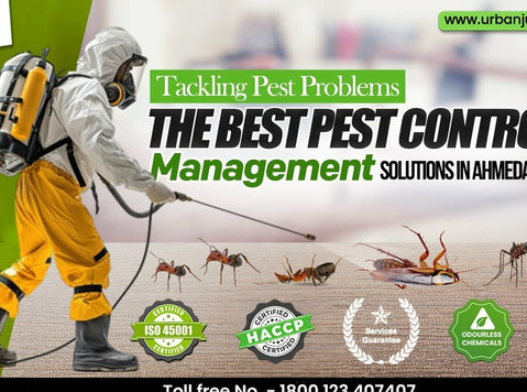The Best Pest Control Management Solutions in Ahmedabad - Συγκατοίκηση