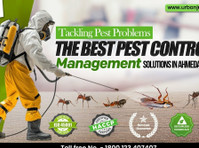 The Best Pest Control Management Solutions in Ahmedabad - Camere de inchiriat
