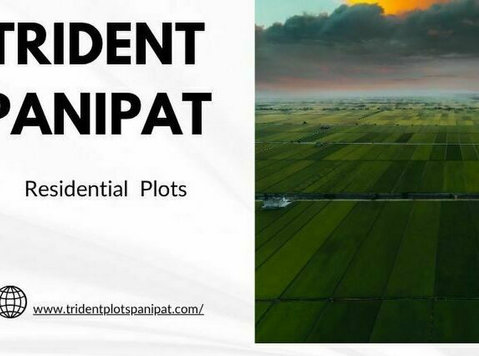 Trident Plots in Haryana | Homes in Panipat - Land