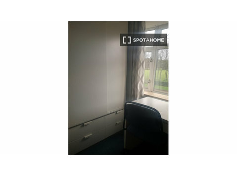 Room for rent in 3-bedroom apartment in Dublin, Dublin - For Rent