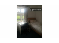 Room for rent in 3-bedroom apartment in Dublin, Dublin - For Rent