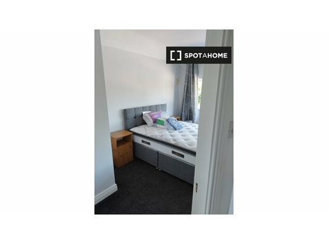 1-Zimmer-Haus zur Miete in Dublin - Wohnungen