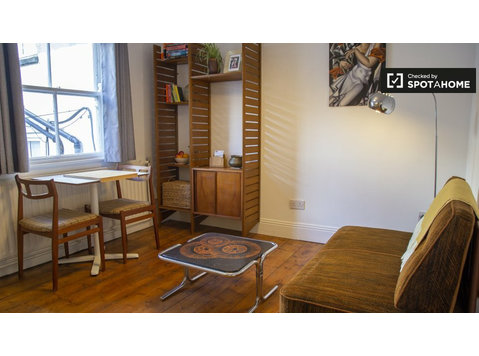 Urocze mieszkanie z 1 sypialnią do wynajęcia w centrum… - Mieszkanie