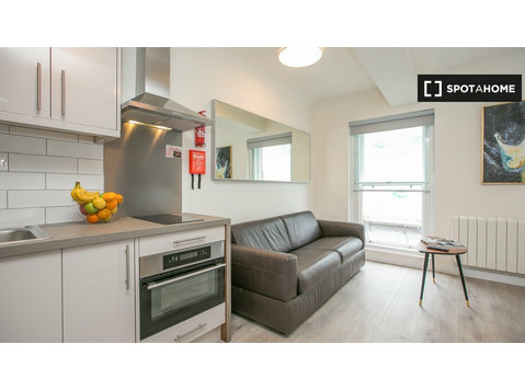 Serviced studio apartment for rent in St Stephen's Green, D2 - Apartments