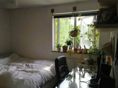 Spacious self-contained 1 bedroom & bathroom, 45m2 apartment - Lejligheder