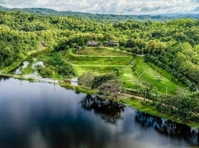 The Best Feng Shui House For Sale, surrounded by reservoir a