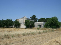 Ancient elegant manor house, within a plot of 30.000 sqm - Σπίτια