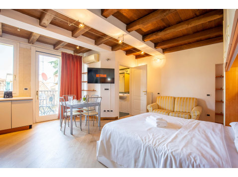 Santo Stefano Apartments- attico con terrazza Monolocale - Pisos