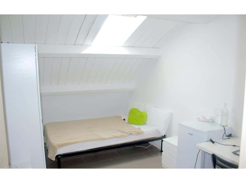Private Room in Via di Carcaricola - דירות