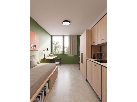 Superior Studio (Students Only) - Apartments