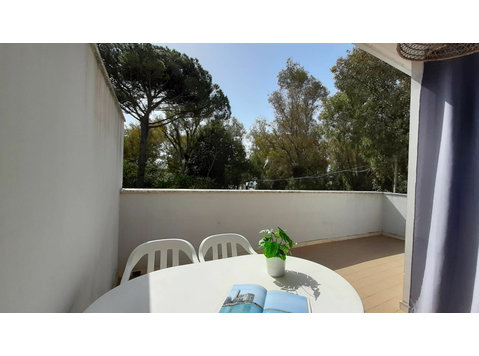 Le Barchette 7 - Apartments