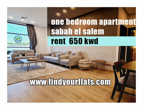 spacious 1   bedroom  furnished  in sabah el salem - Apartments