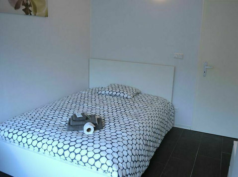 Room to rent - Lux 193-12 - Kimppakämpät