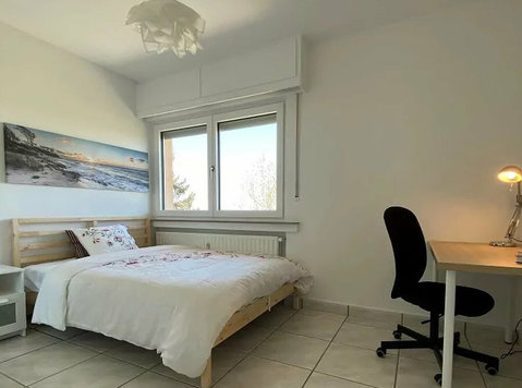 Furnished double bedroom (a)- spacious duplex | Kirchberg - Pisos