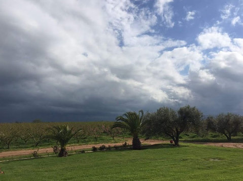 Ferme de 276H région de Meknés (2) - Terrain
