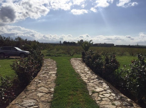 Ferme de 276H région de Meknés (4) - Terrain